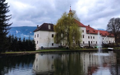 Schloss Rothenthurn – Schlossdachsanierung
